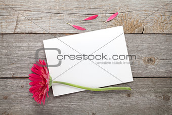 Purple gerbera flower and blank greeting card