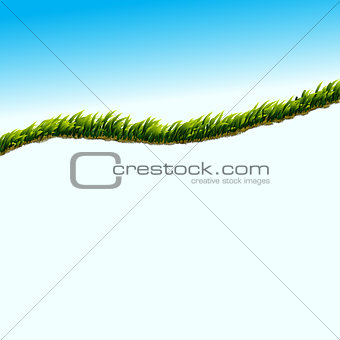 Fresh background with grass