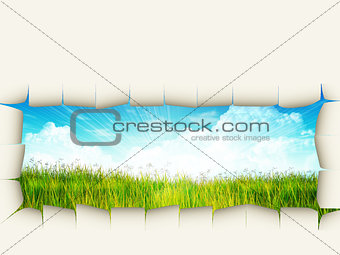 Grass background with ripped paper