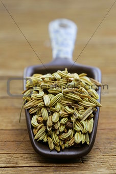 macro shot fennel seeds, aromatic spice seasoning