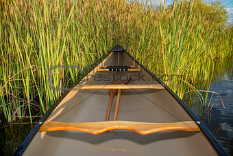 canoe and cattails