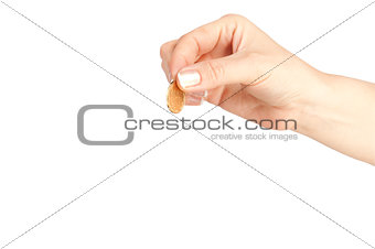 Image of woman's hand with one coin