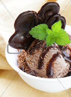 Delicious fresh homemade chocolate ice cream - summer dessert