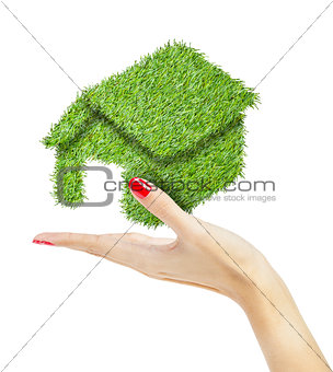 green house in hand