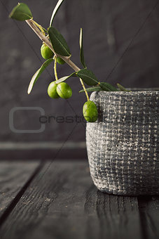 Fresh olives 