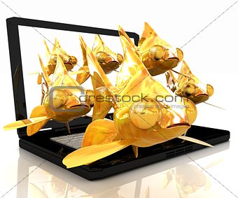 Gold fishea and laptop