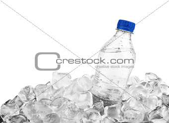 bottle in ice 