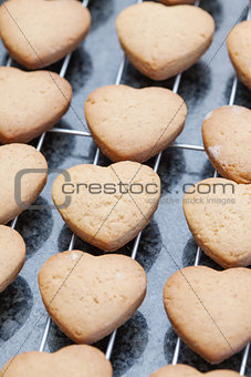 Heart shaped cookies cooling off on metal grid