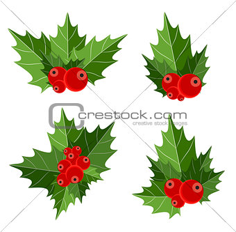 Christmas Berry Sign Vector Illustration