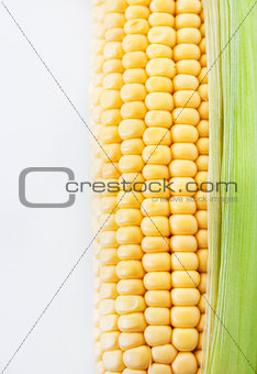 Fresh sweet yellow corn