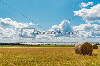 Hay bales on a farm along the ocean with the Confederation Bridg