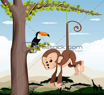 Monkey and a bird in a tree