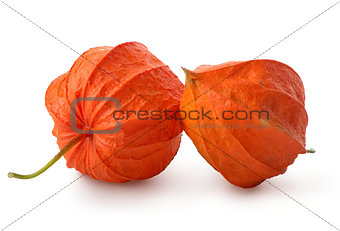 Two flowers of physalis