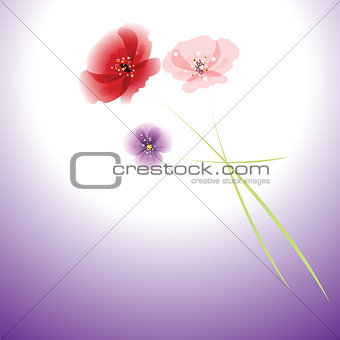 bouquet of flowers on colorful background.