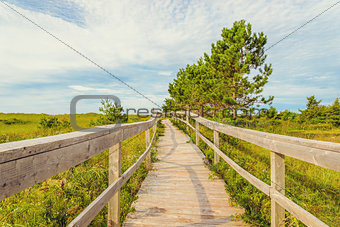 Wooden Boardwalk