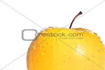 yellow wet apple with space for text