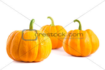 Small decorative orange pumpkins 