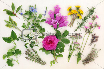 Naturopathic Herbs and Flowers