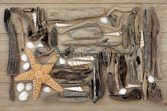 Shell and Driftwood Collage