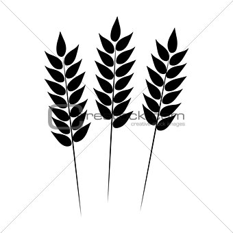 Wheat icon. Vector illustration