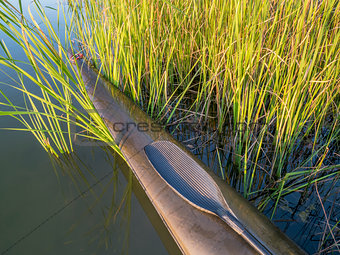 kayak bow in cattail