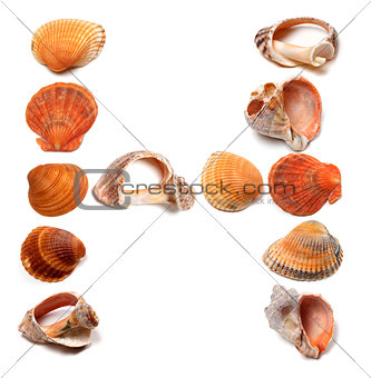 Letter H composed of seashells
