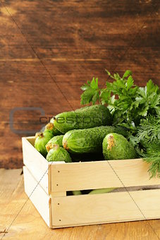 fresh organic cucumbers in a wooden box