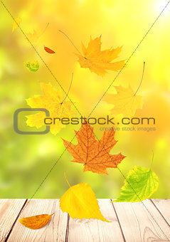 Flying autumn leaves