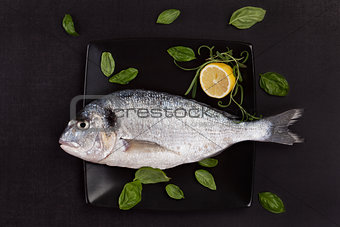 Sea bream on plate with herbs.