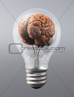 a brain into a light bulb