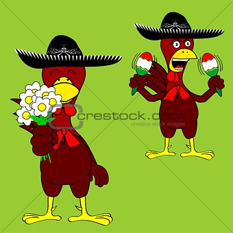 mexican chicken mariachi set