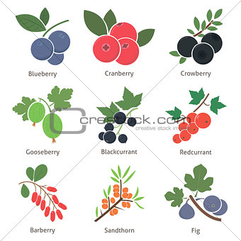 Fruits and berries
