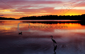 Sunrise Narrabeen Lakes