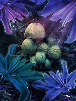 Fantasy mushrooms