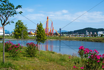 Pond near Sochi park in summer