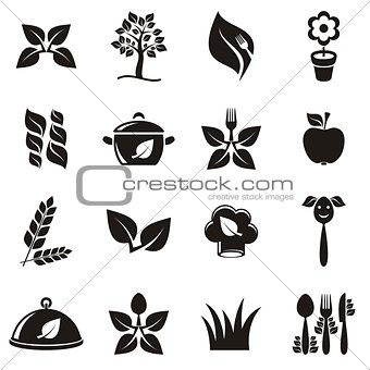 Organic cooking icons