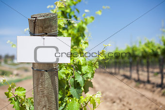 Grape Wine Vineyard with Wooden Post Holding Blank Sign