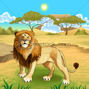 African landscape with lion king.