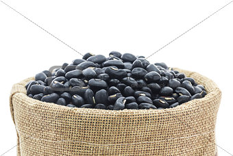 Dried black beans in Sacks fodder