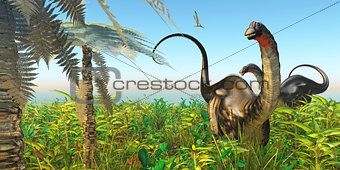 Apatosaurus Dinosaur Garden