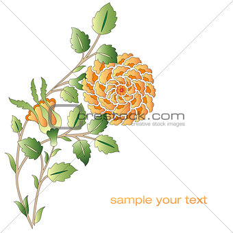 Ottoman yellow roses flower series