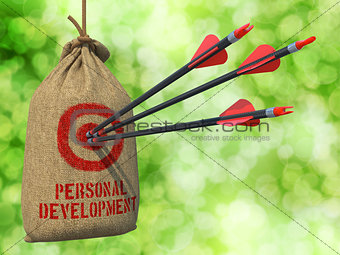 Personal Development - Arrows Hit in Red Target.