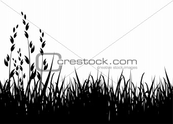 grass vector silhouette