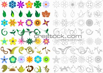 Floral shapes