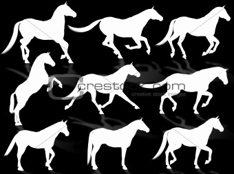 Horses silhouette