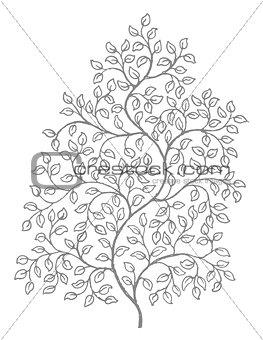 Ornate curly vines and leaf illustration