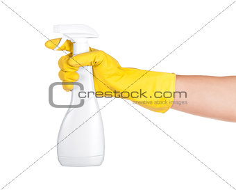 Hands in rubber gloves holding cleaning spray. isolated on white
