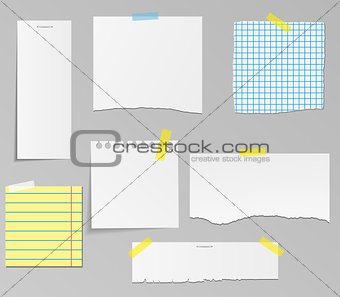 Vector set of paper objects for your design