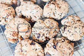 Closeup cereal cookies cooling on a rack