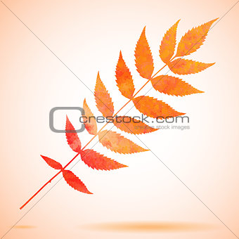 Orange watercolor painted leaf